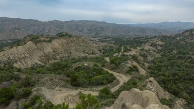 _P0A3628.jpg