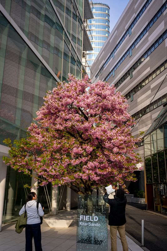 Office building plum: ITS SPRIIIIIING!!!!