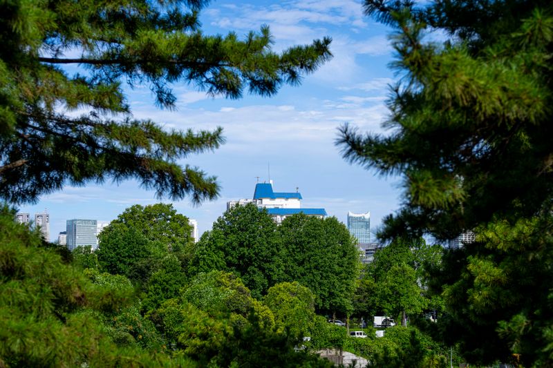 Yotsu from Moat Embankment - 3