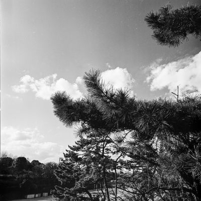February_Walk-04.jpg