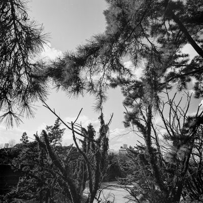 February_Walk-05.jpg