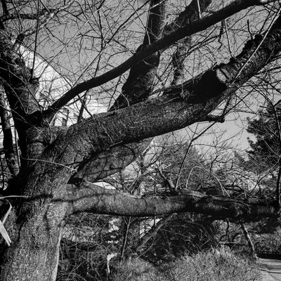 February_Walk-09.jpg