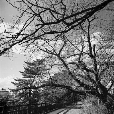 February_Walk-10.jpg