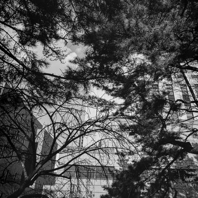 February_Walk-11.jpg