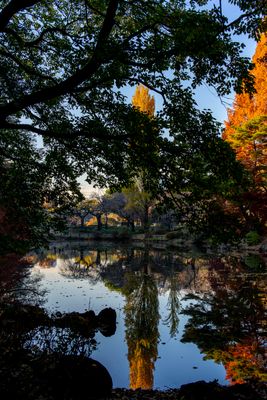 Shinjuku Gyouen Park - 05