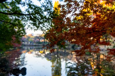 Shinjuku Gyouen Park - 06
