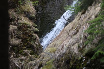 Haukadalsskgur