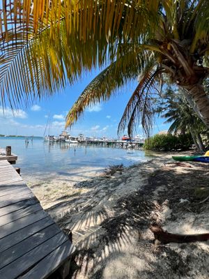 Dock at Soggy Peso