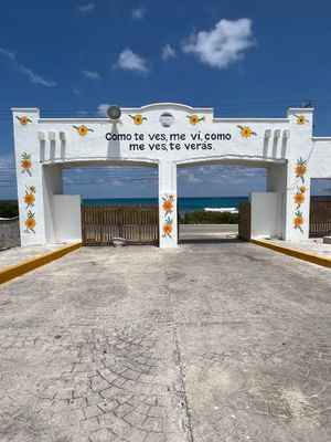 Cemetery Colonias