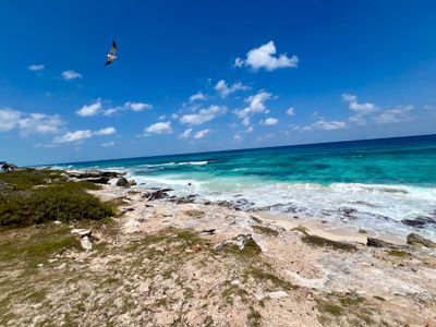 Caribbean