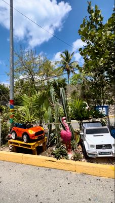 Traffic Jam garden