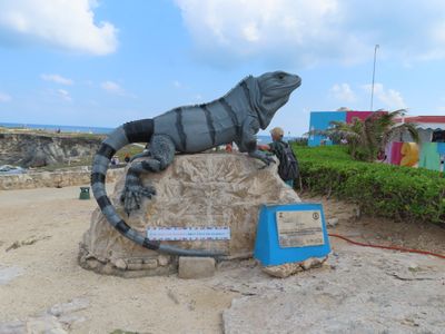 Iguana statue