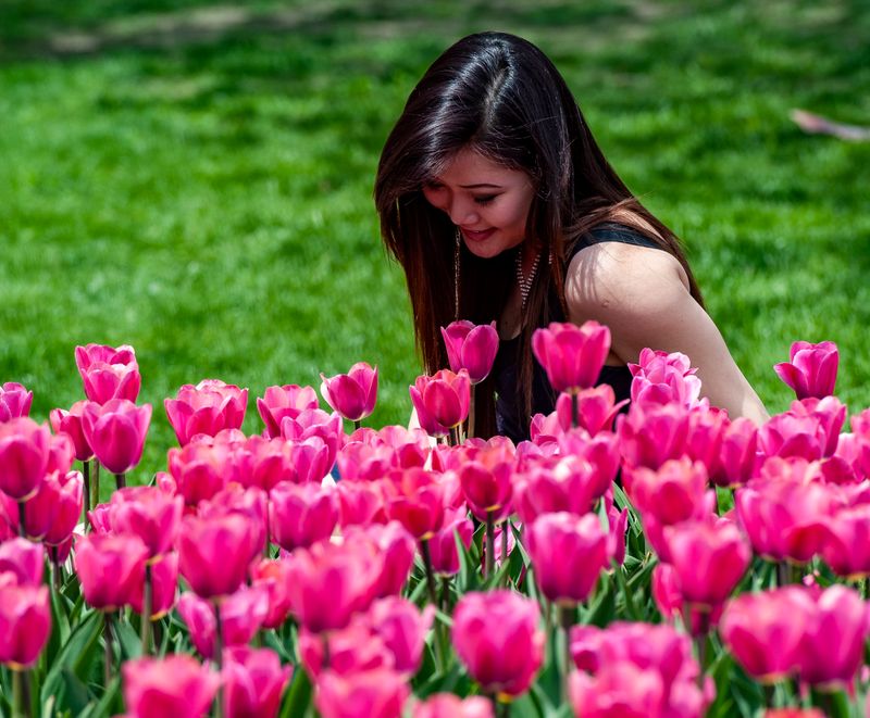 Tulips-4149.jpg