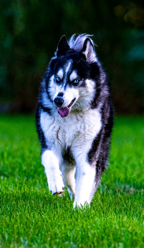 Luna play-11.jpg