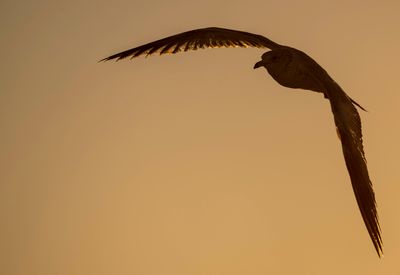 Carolina Beach, North Carolina