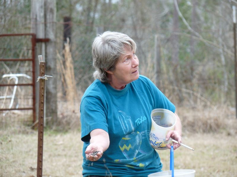 Becky feeding her birds at her home in Tyler Tx. 