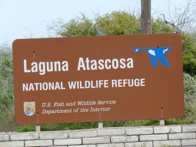 Laguna Atascosa
