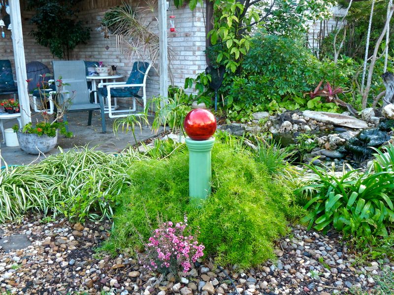 Linda's Oasis