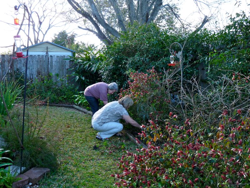 Birders and gardeners 