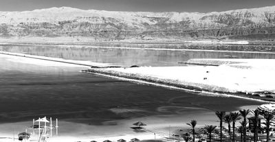 Israel Dead Sea Studies