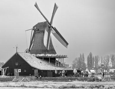 g13/29/498329/3/173344569.b8b56818.JPEG