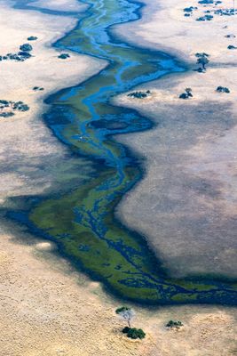 Okavango Delta: Aerial view