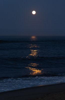 Wellfleet Dusk