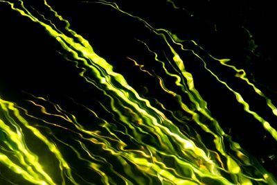 Underwater Grasses