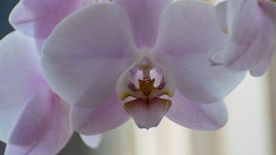 DSC_4950.jpg