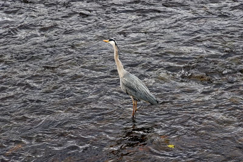 IMG_3812_DxO.jpg