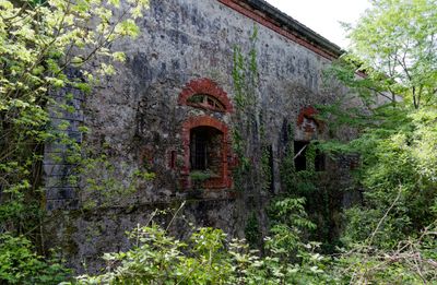 Abandoned military castle on Palmaria Island
