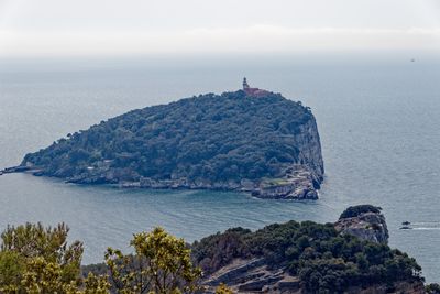 Palmaria Island