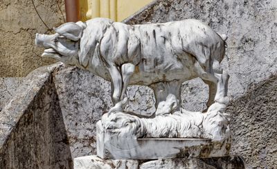 Marble hog