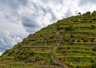 Terraces