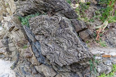 Seaside rocks, Corniglia