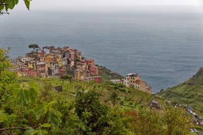 Corniglia