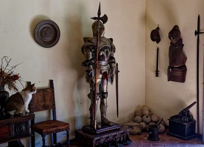 Cat eying armor