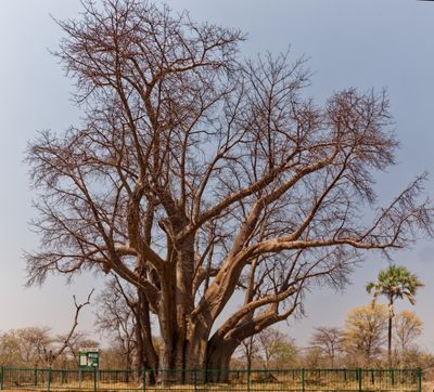 Southern Africa
