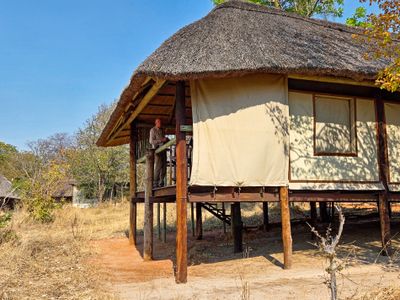 Home in the bush