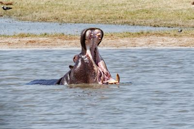 Southern Africa