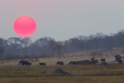 African sunset