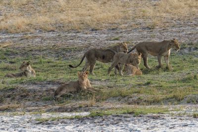 Southern Africa