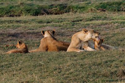 Southern Africa