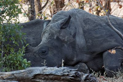 Southern Africa