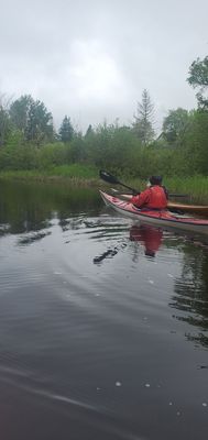 20230610_114624.jpg