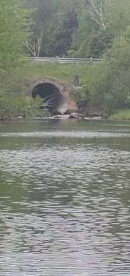 20230610_114641.jpg