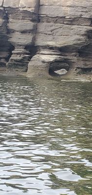 20230708_103415.jpg