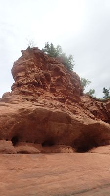 P7160044.jpg
