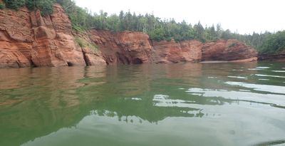 P7160050.jpg