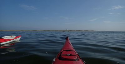 P7230003.jpg